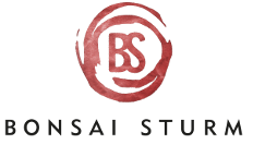 Bonsai Sturm - Bonsai ist mehr, als ein Baum in der Schale.